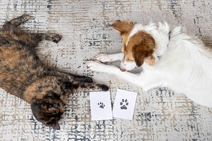 Pearhead Paw Print Clean-Touch Ink Pad, Mess Free Inkless Pet Impression Kit, Safe for Cats and Dogs, Pawprint Keepsake, Pack of 2