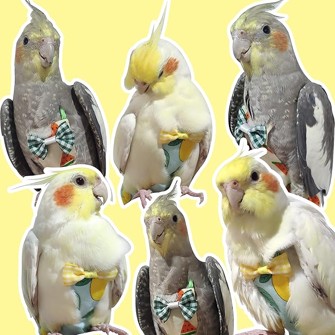 VANFAVORI Bird Diaper Harness Flight Suit Clothes with 80 Inch Flying Leash Rope for Parrots Conure Cockatiel Pet Birds Weight 80-105 Grams, M Size Blue, Including A Cotton Pad