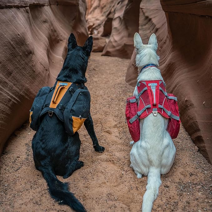 Kurgo Dog Saddlebag Backpack, Back Pack Dog Harness, Hiking Pack for Dogs, Packs for Pets to Wear, Camping & Travel Vest Harness, Reflective, Lightweight, Baxter Pack for Medium & Large Pets
