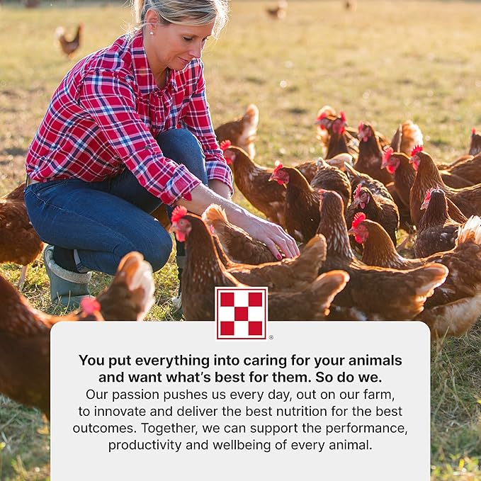 Purina Start and Grow | Non-Medicated Chick Feed Crumbles | Nutritionally Complete - 25 Pound (25 lb.) Bag