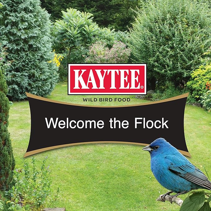 Kaytee Smart & Small Feeder Refill, Ideal Wild Bird Food for Smart Feeders, 2 Pounds, 6 Count
