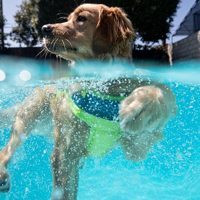 Outward Hound Standley Sport Green Performance Dog Life Jacket, Small
