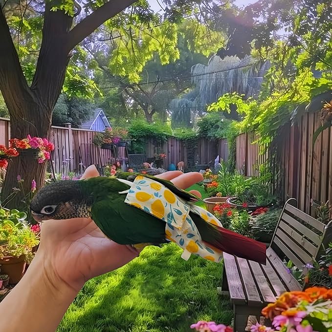 2 Pcs Bird Diapers Bird Harness Flight Suits Diapers with 80 Inch Flying Leash Reusable Parrot Nappy with Waterproof Inner Layer for Cockatiel Budgie Conure Parakeet Lovebird-Bowknot&Lemon