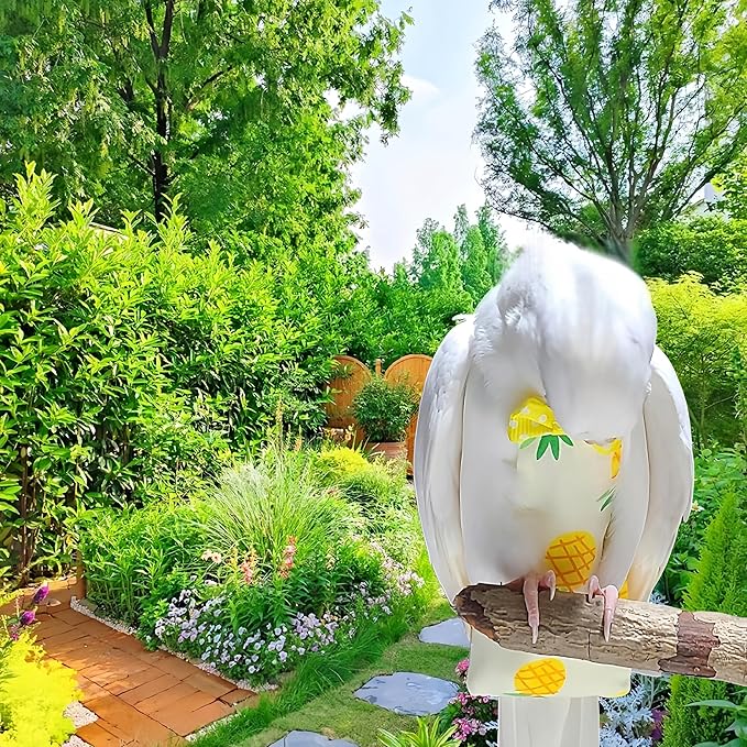 2 Pcs Bird Diapers Bird Harness Flight Suits Diapers with 80in Flying Leash Reusable Parrot Nappy with Waterproof Inner Layer for Cockatiel Budgie Conure Parakeet Lovebird-Apple&Pineapple