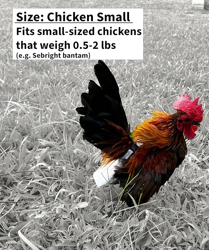 Chicken Duck Bird Diapers Diaperalls for Hens, Roosters, Ducks, Ducklings, Bird diaper - Reusable, Adjustable by Uni Infinity (Pink Floral, Chicken Small, 1, Count)