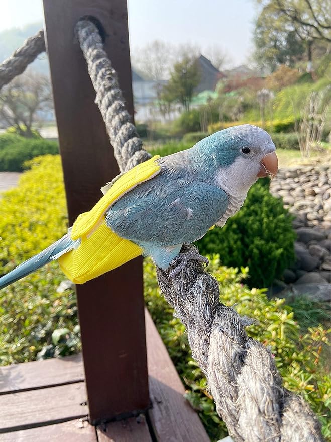 Parrot Bird Diapers, Birds Flight Suit, Parrot Clothes, Pet Animal Costumes, Bird Clothes, Cockatiel Bird Diaper, Pet Bird Diapers, Parrot Flight Suit, Bird Parrot Clothes (Yellow, M)