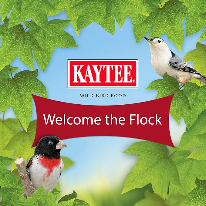 Kaytee Wild Bird Finch Food Blend,3 lb,(Pack of 2)