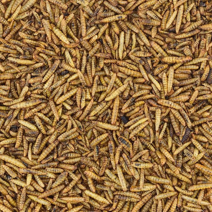 Worm Nerd WN64 11LB Dried Black Soldier Fly Larvae Non-GMO High Protein and Calcium Treat for Chickens, Birds, Reptiles, Amphibians, Fish