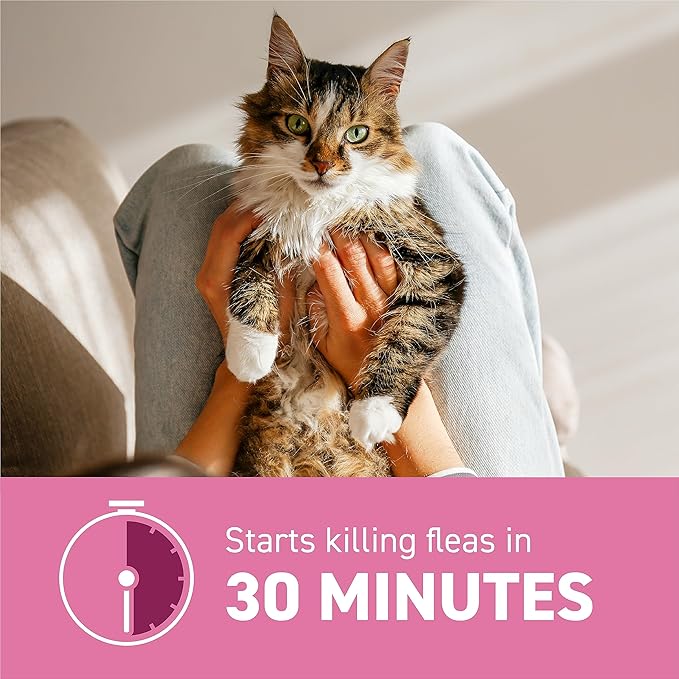 CAPSTAR Flea Treatment for Cats 2-25 lbs (6 Doses) + NEXTSTAR Flea and Tick Prevention for Cats Over 3.5 lbs (1 Dose) Bundle