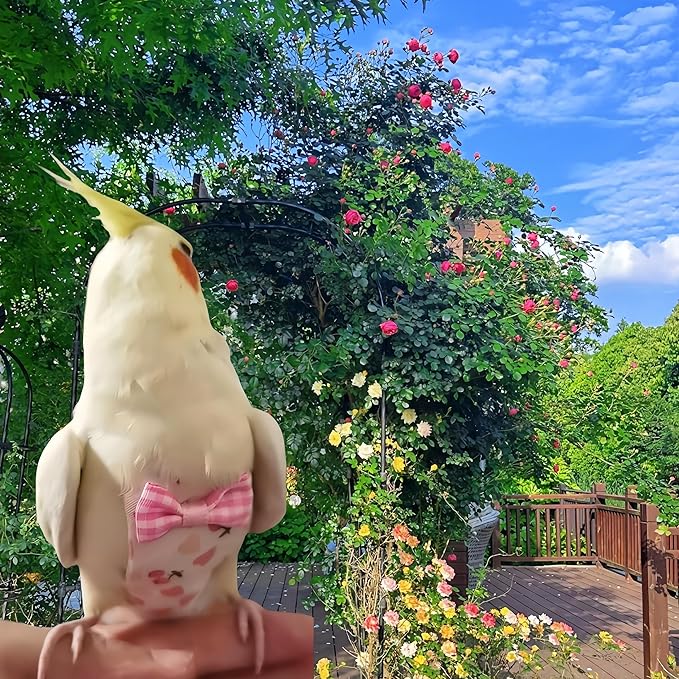 2 Pcs Bird Diapers Bird Harness Flight Suits Diapers with 80in Flying Leash Reusable Parrot Nappy with Waterproof Inner Layer for Cockatiel Budgie Conure Parakeet Lovebird-Blue&White