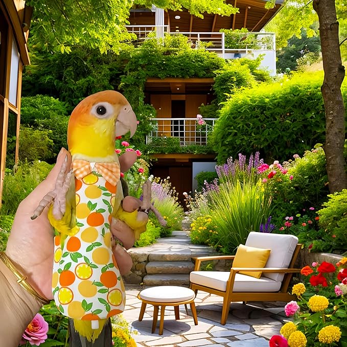 2Pcs Bird Diapers Bird Harness Flight Suits Diapers with 2Pcs 80 Inch Flying Leash Parrot Nappy Pigeon Pants Urine Wet Suit for Cockatiel Conure Macaw Budgies Parakeet-Watermelon&Orange