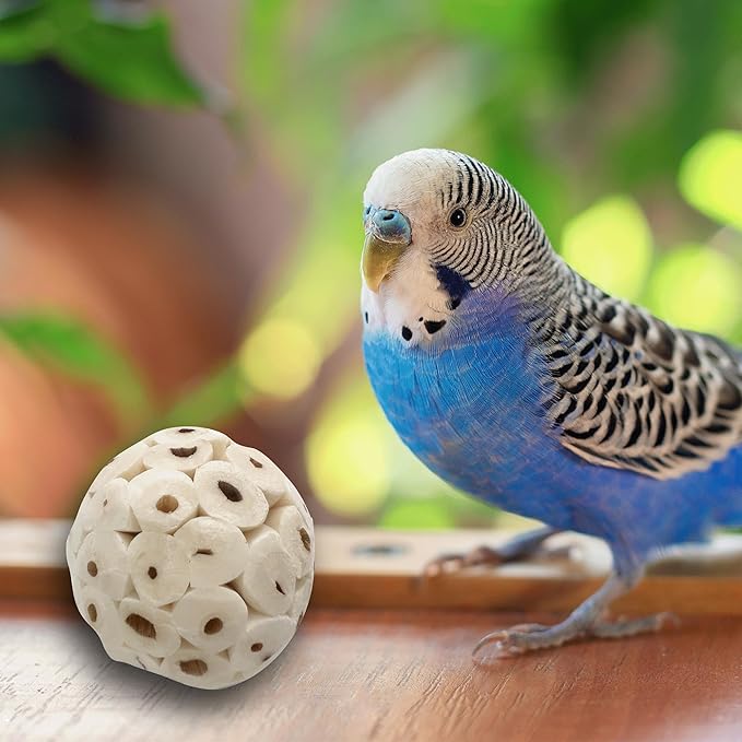 5123 Pk12 Mini Sola Balls - Handmade shreddable natural wood bird foot toys, Made from many pieces of air dried sola wood, Delightful chewing fun, Great for small pets Budgie Canary Lovebird Parrotlet
