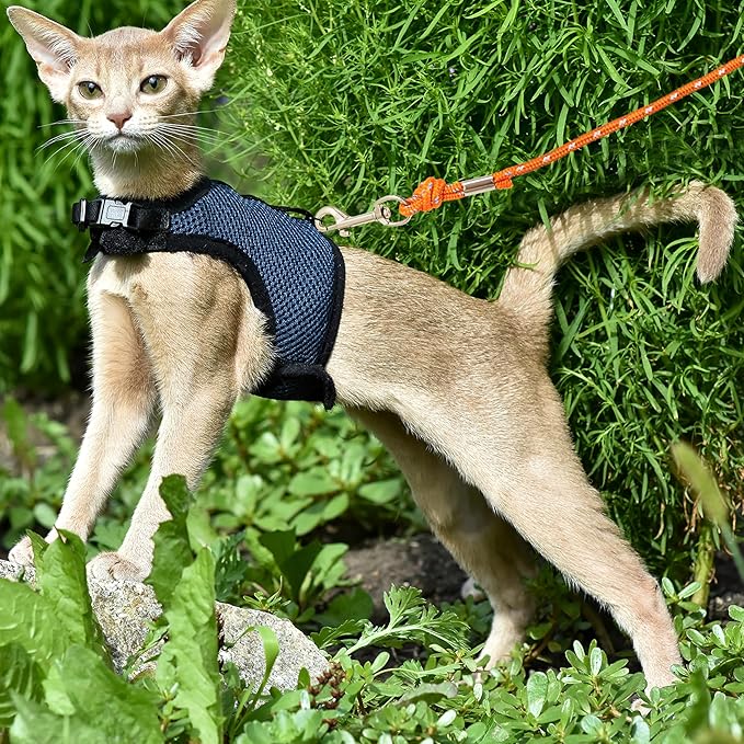 Reflective Cat Leash, 30ft Escape Proof Walking Lead Yard Long Leash, Extender Leash Training Playing Outdoor for Cats Puppy Kitten Small Dogs Rabbit Small Animals