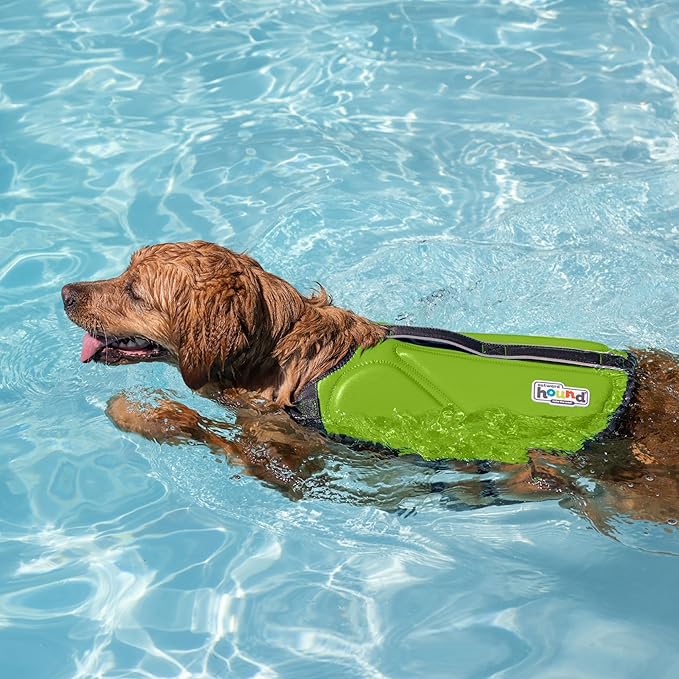 Outward Hound Dawson Swim Dog Life Jacket, High-Performance Neoprene Dog Life Vest for Swimming, Boating, and Water Safety, XS, Green