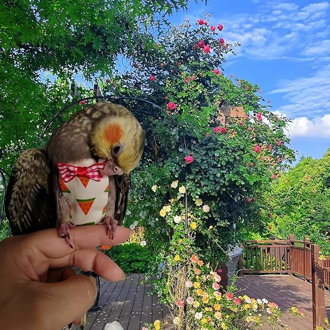 6Pcs Bird Diapers Bird Harness Flight Suits Diapers Reusable Parrot Nappy with Waterproof Inner Layer Washable Cute Urine Wet Suit Costume for Cockatiel Conure Budgie Macaw Parakeet,M