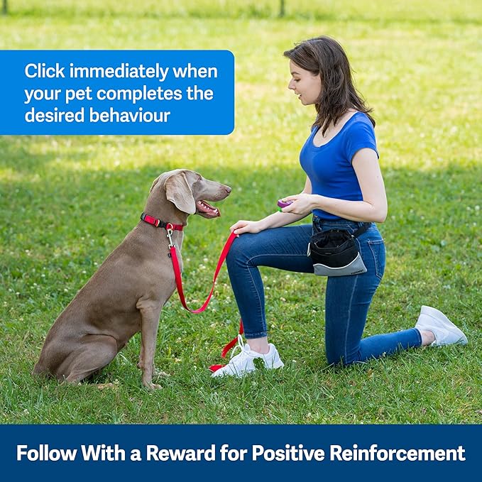 PetSafe Clik-R Training Tool - Positive Behavior Reinforcement - Ergonomic Design - Compact Finger Band - Daily Training Accessory - Clicker for Dogs & Cats - Purple