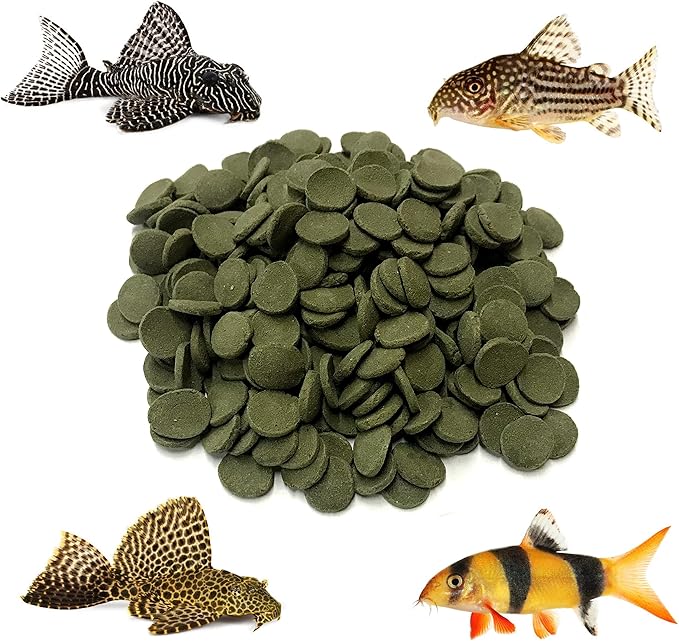 Medium 12mm Algae Wafer - Algae Wafers for Bottom Feeders - The Best Pleco Wafers & Pleco Food Available - Algae Wafers for Snails (5 lb)