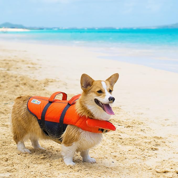 Outward Hound Granby Splash Orange Dog Life Jacket, XL
