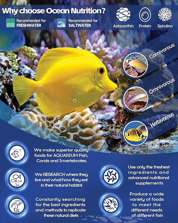 Ocean Nutrition Seaweed Sheets - Nutritious Red Marine Algae Saltwater Fish Food with Natural Garlic Extract for Algae Eater Fish - Perfect for Herbivorous & Omnivorous Fish, 10-Sheets 1.0 oz (30 g)