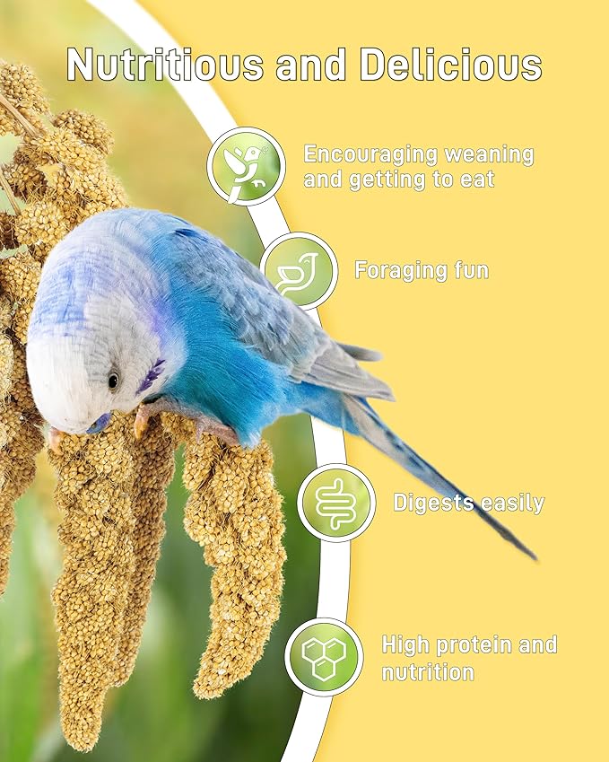 BUCATSTATE Spray Millet for Birds, Sun-Dried Healthy Millet Parakeet Treats for Parrots Cockatiel Lovebird Finch, GMO-Free Parakeet Food - 1.1lb