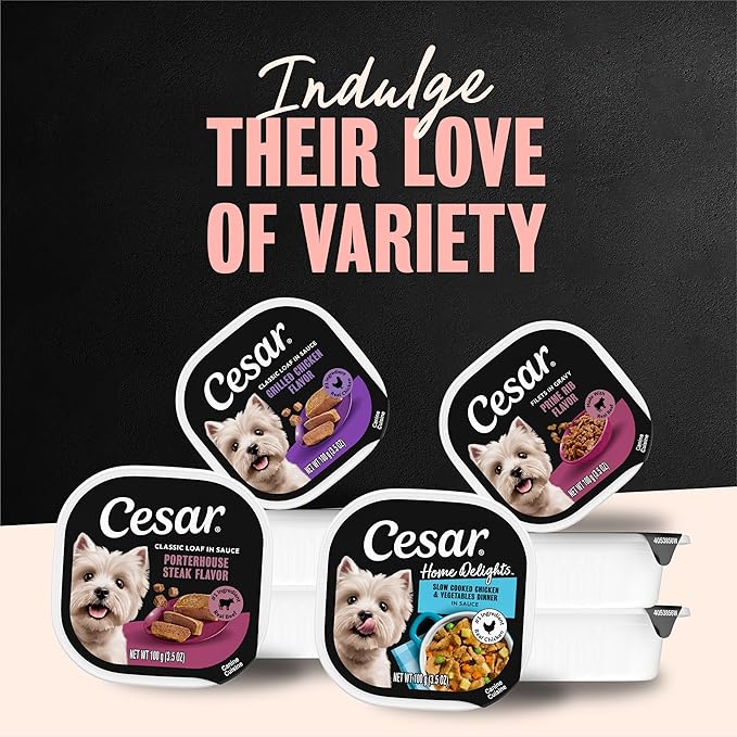 Cesar Filets in Gravy Adult Wet Dog Food Prime Rib Flavor, 3.5 oz. Easy Peel Dog Food Tray, 24 Count (Pack of 1)
