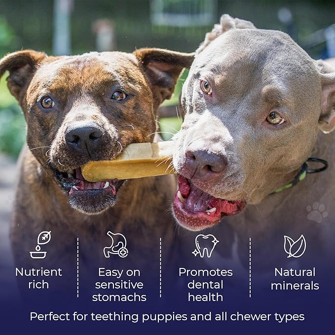 Devil Dog Pet Co. Himalayan Yak Cheese Dog Chews, Extra Large - 3 Pack, 100% Natural & Healthy, Lactose-Free, Long-Lasting Dog Treats, Premium Yak Milk Chew Bones for Dogs
