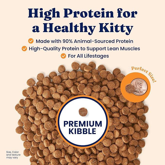 Solid Gold High Protein Dry Cat Food - Grain Free & Gluten Free Chicken Cat Dry Food w/Probiotics for Gut Health & Digestion - High Fiber & Omega 3 - Low Carb Kibble for All Ages - 6LB