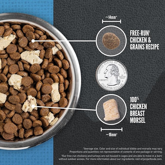 ORIJEN Wild Reserve Dry Dog Food Free-Run Chicken & Grains Recipe 12lb Bag