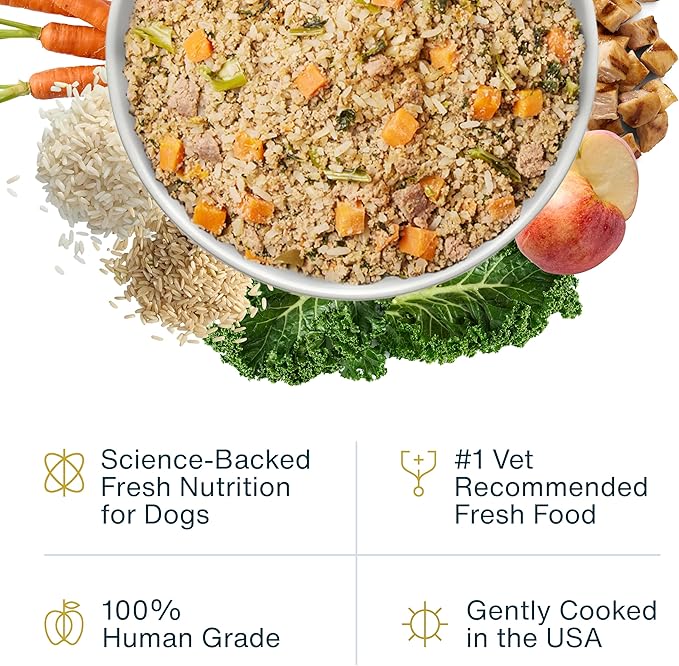 JustFoodForDogs Pantry Fresh Wet Dog Food, Complete Meal or Dog Food Topper, Chicken & White Rice Human Grade Dog Food Recipe - 12.5 oz (Pack of 24)