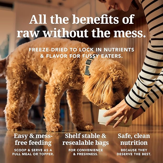 K9 Natural Beef Freeze Dried Dog Food, High-Meat Natural Complete Meal or Meal Toppers for Dogs, Grass-Fed Beef from New Zealand, Grain-Free, GMO-Free, Complete & Balanced Nutrition, 8lb