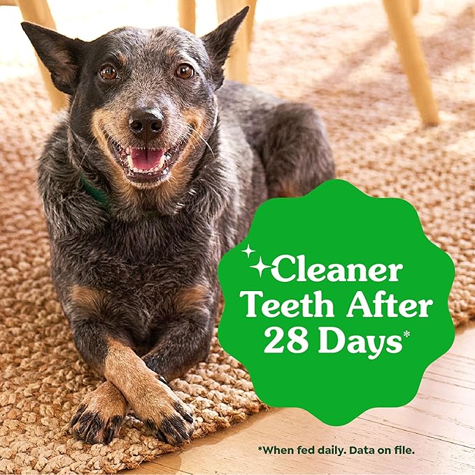 Greenies Veterinarian-Recommended Adult Natural Dental Dog Treats Large Size, Original Flavor, (4) 12 ct Packs (48 Treats Total)