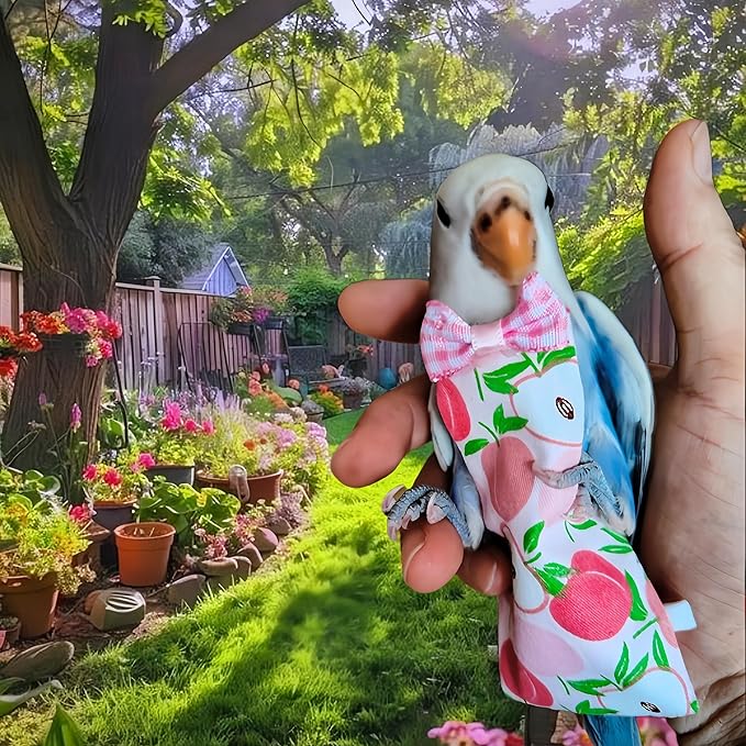 6Pcs Bird Diapers Bird Harness Flight Suits Diapers Reusable Parrot Nappy with Waterproof Inner Layer Washable Cute Urine Wet Suit Costume for Cockatiel Conure Budgie Macaw Parakeet,M
