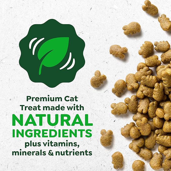 Greenies Cat Treats, Feline Veterinarian-Recommended Adult Natural Dental Cat Treats, Savory Salmon Flavor, 21 oz. Tub