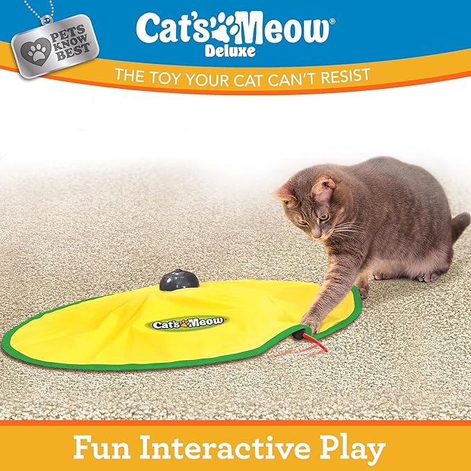 Cat's Meow | Interactive Enrichment Toy for Indoor Cats & Kittens, Automatic Movements that Simulate Mouse Tail & Hunting Prey, Self-Play Battery Powered for Physical & Mental Stimulation, All Breeds