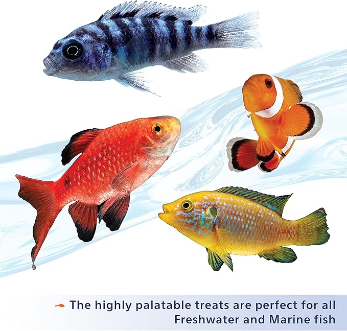 Aqueon Stick'ems Freeze-Dried High Protein Pet Fish Treat (Pack of 2)