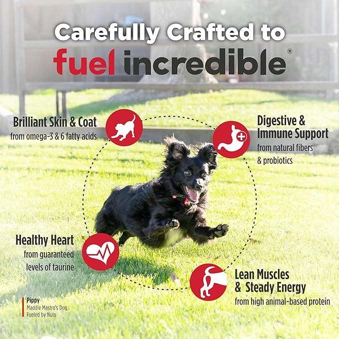 Nulo FreeStyle Small Breed Dog Food Dry - Salmon & Lentils, Puppy & Adult Grain Free Dog Food, Natural, High Protein, Smaller Sized Kibble with BC30 Probiotic for Healthy Digestion Support, 14lb
