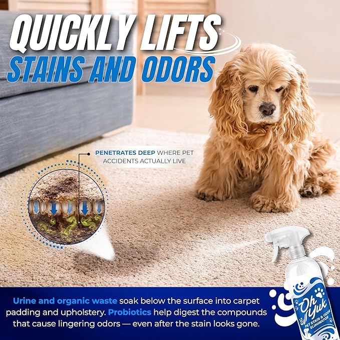 Oh Yuk Probiotics Pet Odor Eliminator and Stain Remover Spray – Dog & Cat Urine and Poop Odor Eliminator for Home, Pet Pee Smell Remover & Deodorizer – 27 fl oz (Fresh Ginger Lime)