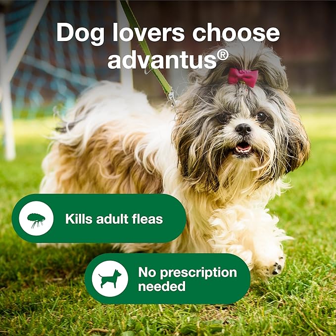 Advantus Dog Fast Acting Oral Flea Treatment Soft Chews Dogs 4 - 22 lbs. | 30 ct.