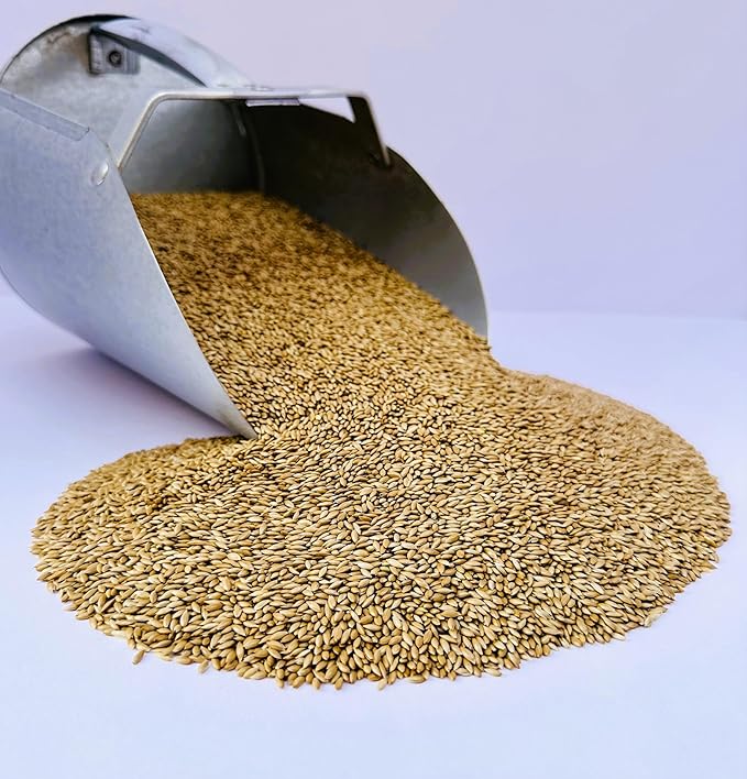 Desert Valley Canary Seed, All Natural, Non-GMO Premium Wild Bird Food for Canaries, Finch, Song Birds, Dove and More (5 Pounds)