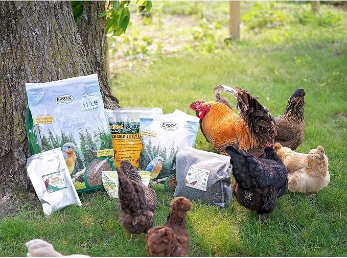 Dried Mealworms - 100% Natural, Non-GMO, High Protein, Bulk Insect Treat for Chicken, Laying Hen, Chick, Wild Bird, Bluebird, Duck, Goose, Turkey, Chickadee, Titmice, Wren, Reptile, Fish (88 lb.)