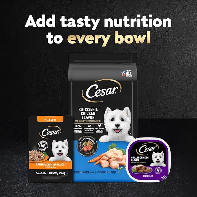 Cesar Filets in Gravy Wet Dog Food Filet Mignon Flavor and Rotisserie Chicken Flavor Variety Pack, Wet Food for Dogs, 1.76 oz. Mini-Pouches, 20 Count (Pack of 4)