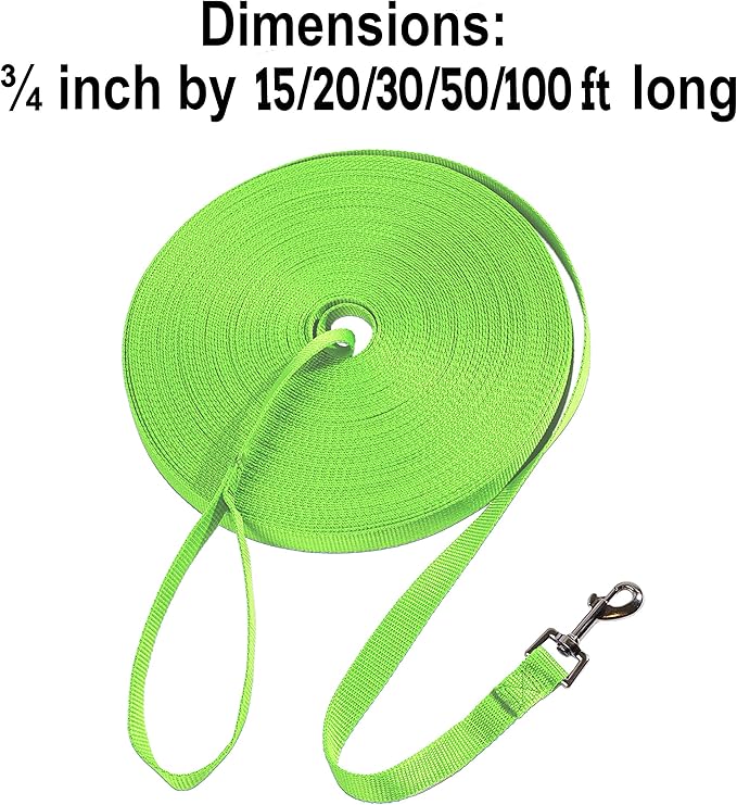 Hi Kiss Dog/Puppy Obedience Recall Training Agility Lead - 15ft 20ft 30ft 50ft 100ft Training Leash - Great for Training, Play, Camping, or Backyard (30 Feet, Green)
