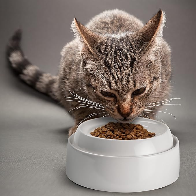 CatGuru Cat Bowls, Whisker Friendly Food Bowl for Indoor Cats, Reliefs Whisker Fatigue, Wide Kitten Dish, Non Slip Pet Dishes, Shallow Pet Plates (Marshmallow)
