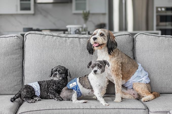 Pet Parents® Washable Belly Bands for Male Dogs (3pack) + Extendrs® of Durable Dog Diapers Male, Premium Male Dog Diapers & Dog Wraps (Large, Kahuna)