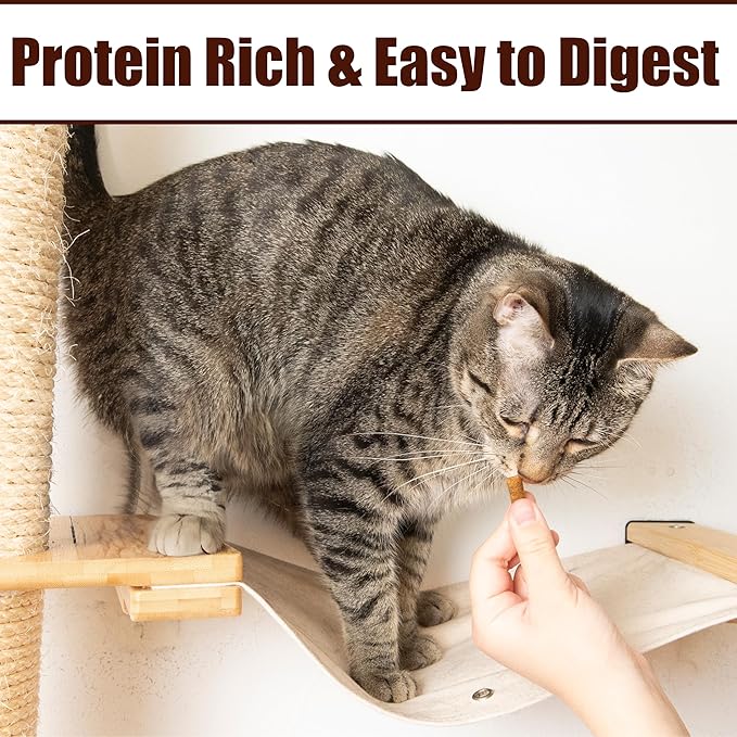 Fieldcrest Farms Nothin’ to Hide Collagen Cat Treats – Crunchy & Creamy Cat Snacks, High-Protein Healthy Treats for Skin, Coat & Joint Support, Salmon Flavor, 8 oz.