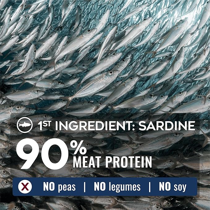 Nature’s Logic Pure Naturals™ 100% Natural Sardine Recipe Synthetic-Free Dry Dog Food, 12 lbs