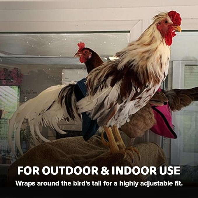 Hen Holster Wrap-Around Bird Diaper & Harness for Hens, Roosters, Ducks, Geese - with Removable Vinyl Liner, Adjustable Fit for Outdoor Adventures & Indoor Use - Easy to wear - Large, Gray