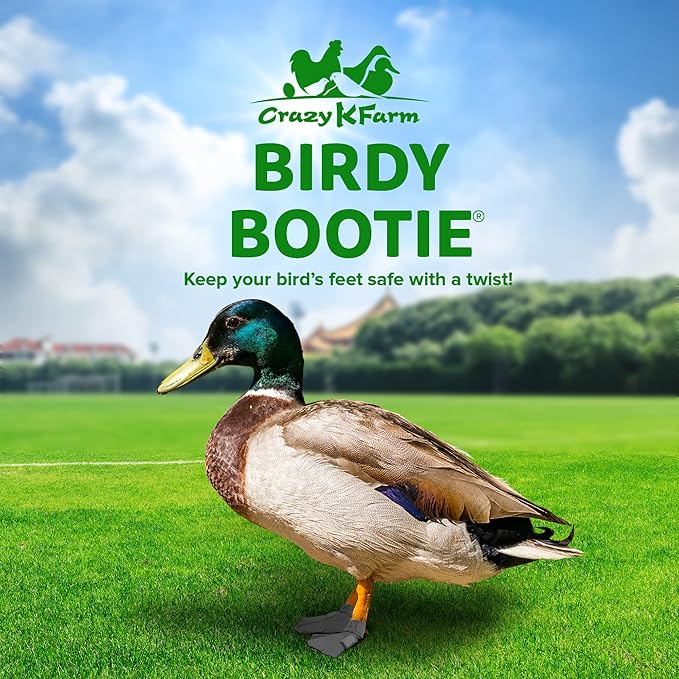 Duck Shoes for Injured Feet – Protective Neoprene Footwear for Ducks, Protective Shoes for Birds with Injured feet, Bumblefoot Relief - Medium, 3.5” Max. Inside Width - Gray