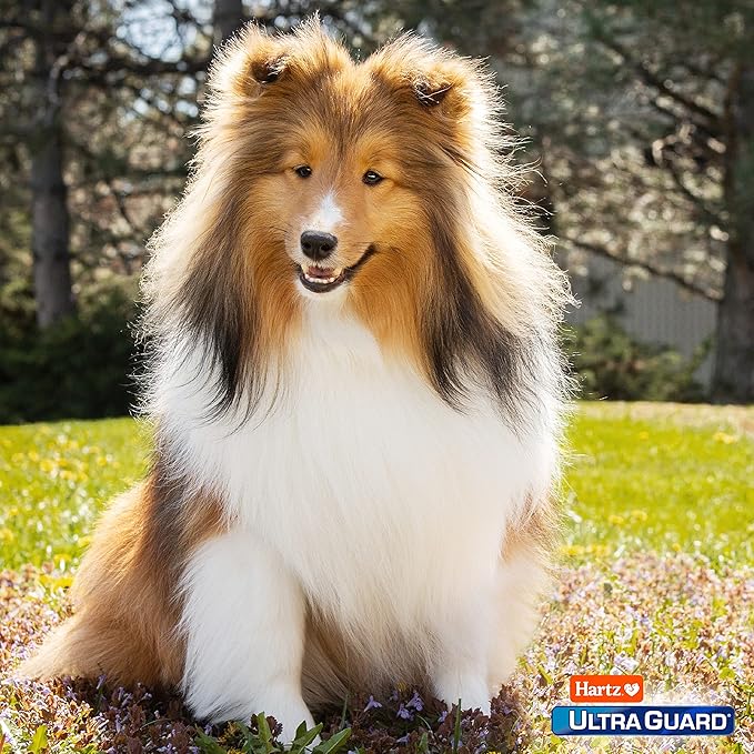 Hartz UltraGuard Pro Flea & Tick Topical Dogs & Puppies Treatment & Prevention, 6 Months, 31-60 lbs