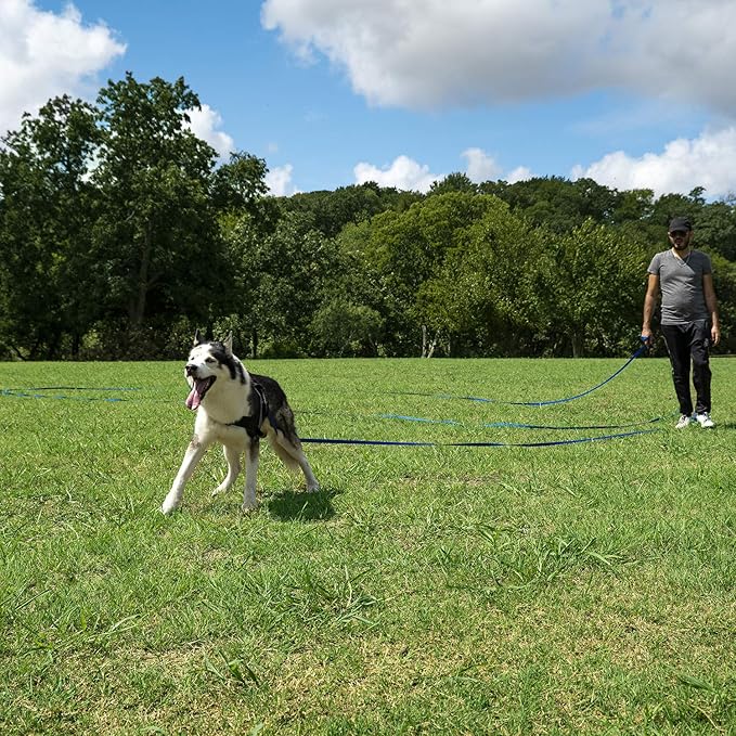 Hi Kiss Dog/Puppy Obedience Recall Training Agility Lead - 15ft 20ft 30ft 50ft 100ft Leash - Great for Play, Camping, or Backyard - Black
